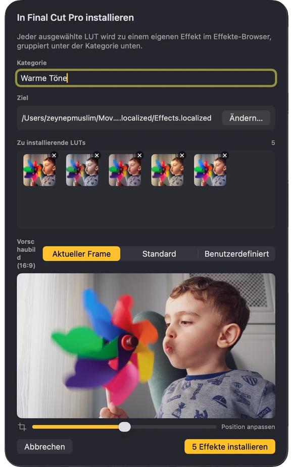 Look Luts Installationsfenster mit Kategoriename, Zielordner und den ausgewählten LUTs, die nach Final Cut Pro gehen