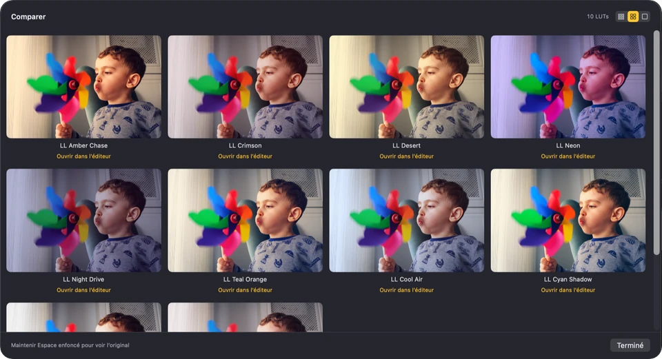 La fenêtre de comparaison de Look Lut : la même image répétée pour chaque candidate