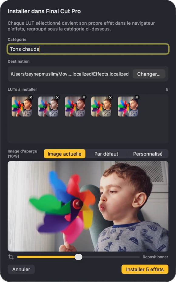 La fenêtre d’installation de Look Lut : un nom de catégorie, une destination et les LUT sélectionnées prêtes pour Final Cut Pro