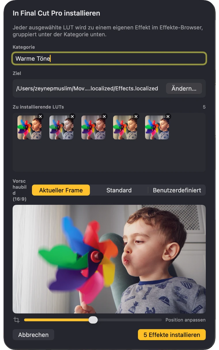 Installationsfenster, das bestätigt, welche LUTs unter welcher Kategorie in Final Cut Pro installiert werden
