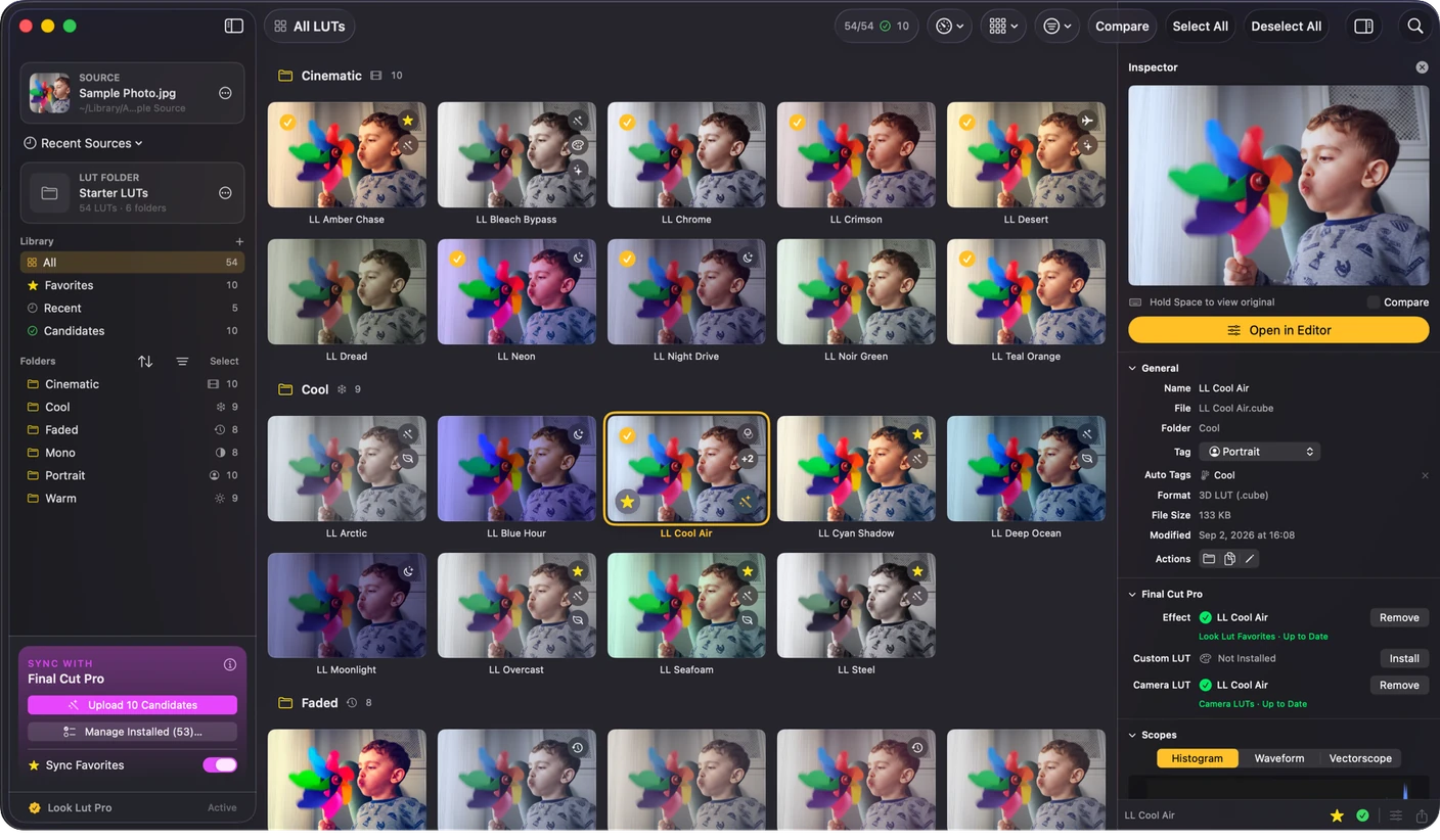 Sidebar with LUT folders, favorites and recent rows, plus the grid showing rendered thumbnails