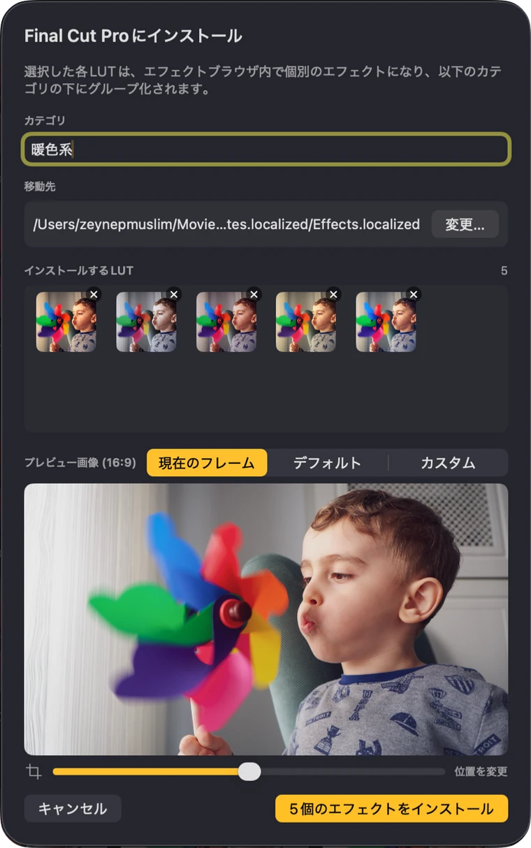 どの LUT をどのカテゴリで Final Cut Pro にインストールするかを確認するインストールシート