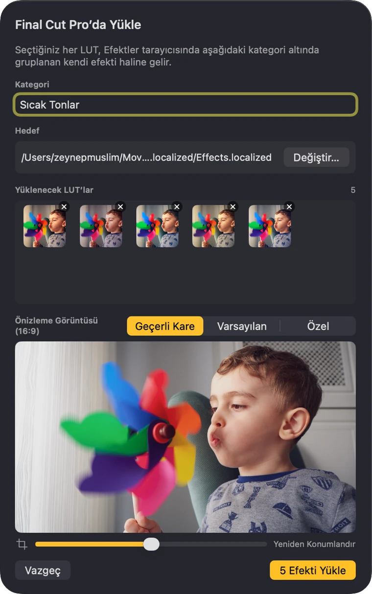 Hangi LUT’ların hangi kategori altında Final Cut Pro’ya kurulacağını onaylayan kurulum penceresi