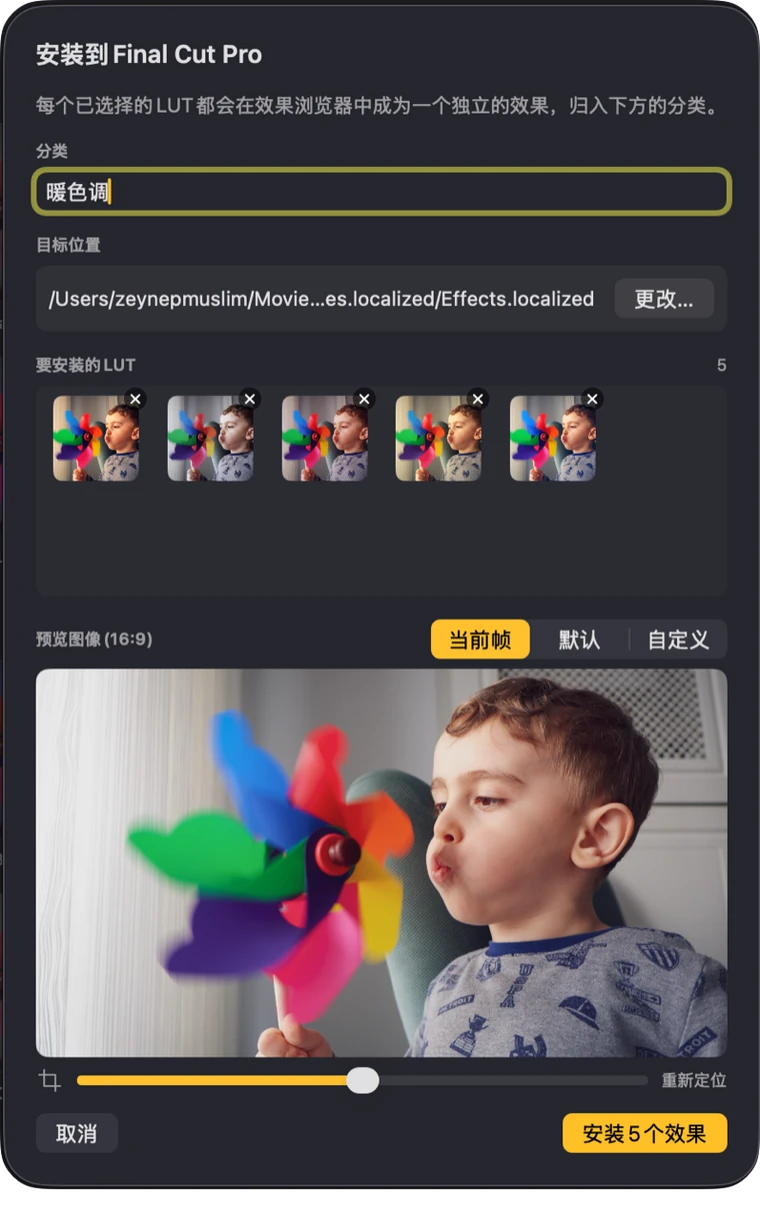 确认哪些 LUT 将以哪个类别安装到 Final Cut Pro 的安装面板